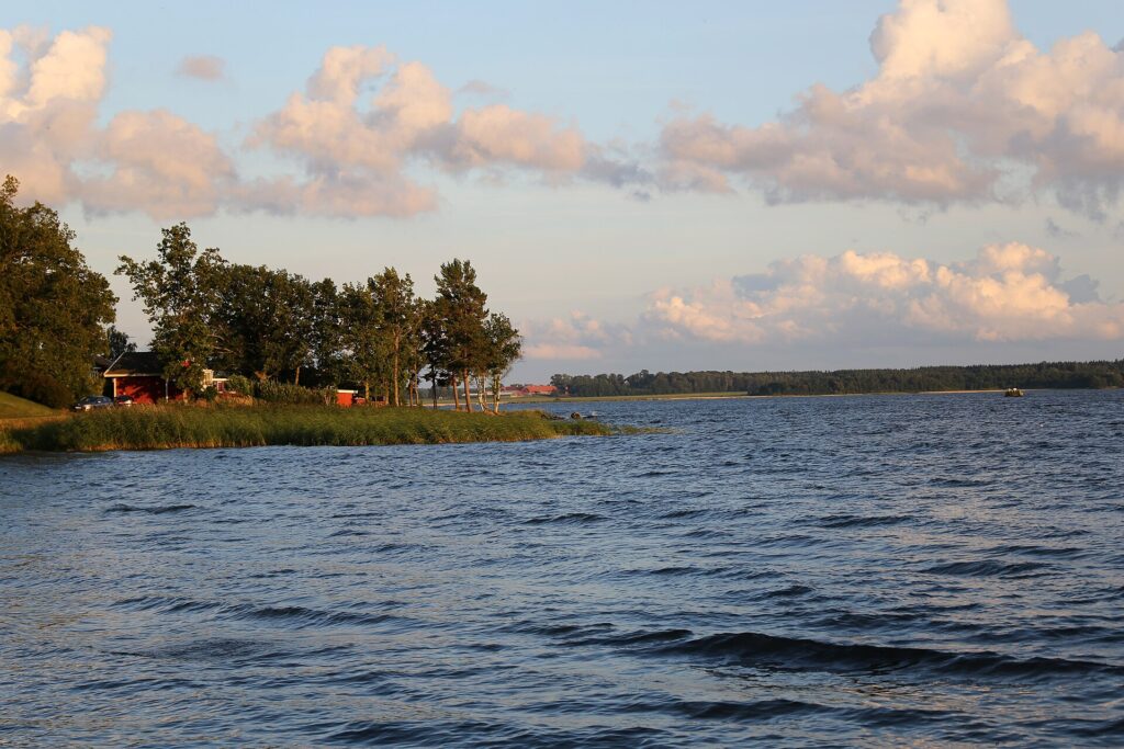Vänerns strand i kvällsljus